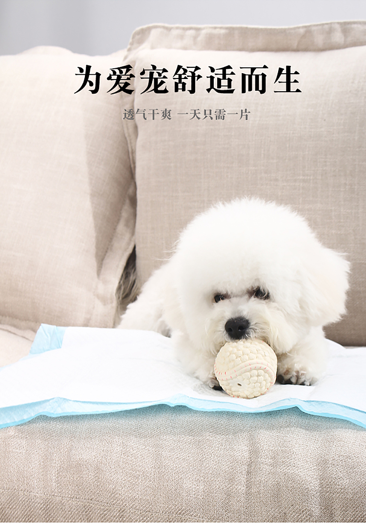 dr-dog-dog-urine-pads-sky-blue-l-size-6060cm-40pcs-in-1