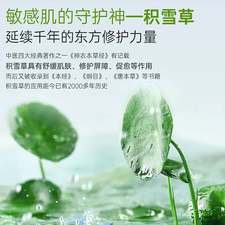 freseni-centella-asiatica-botanical-repair-patch-green-mask-makeup-size-single-piece-2