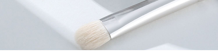 goudy-dry-cleaning-makeup-brush-cleaning-case-11