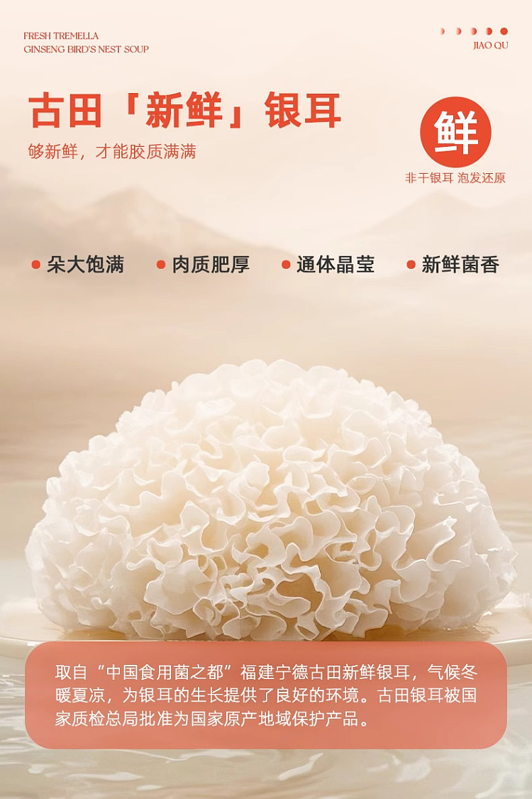 gum-fun-taobao-instant-fish-maw-hot-selling-top1-fresh-silver-ear-ginseng-birds-nest-soup-160g6-6