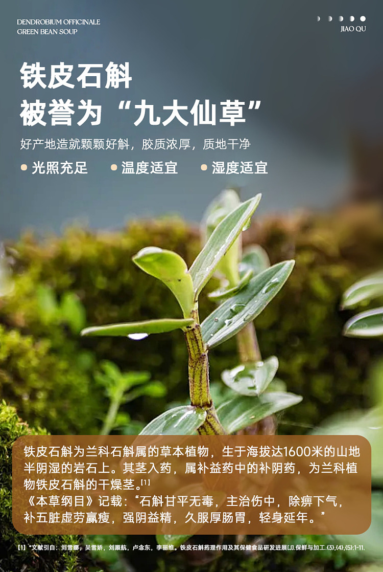 gum-fun-taobao-instant-flowering-gum-hot-selling-top1-dendrobium-dendrobium-green-bean-paste-160g12-2