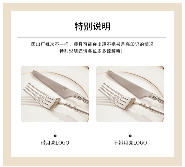 modern-housewife-316-stainless-steel-western-entre-spoon-1