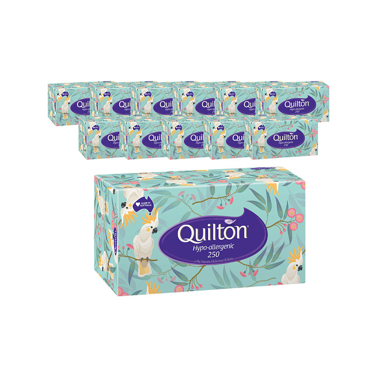 quilton-2-layer-hypoallergenic-boxed-facial-tissues-250pcs12boxes-1