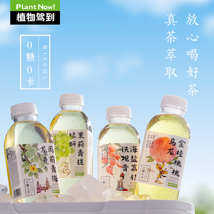 whole-carton-botanical-drive-jasmine-pomelo-lemon-single-fir-500ml15-3
