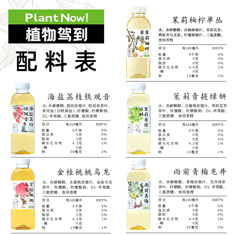 whole-carton-botanical-drive-jasmine-pomelo-lemon-single-fir-500ml15-4
