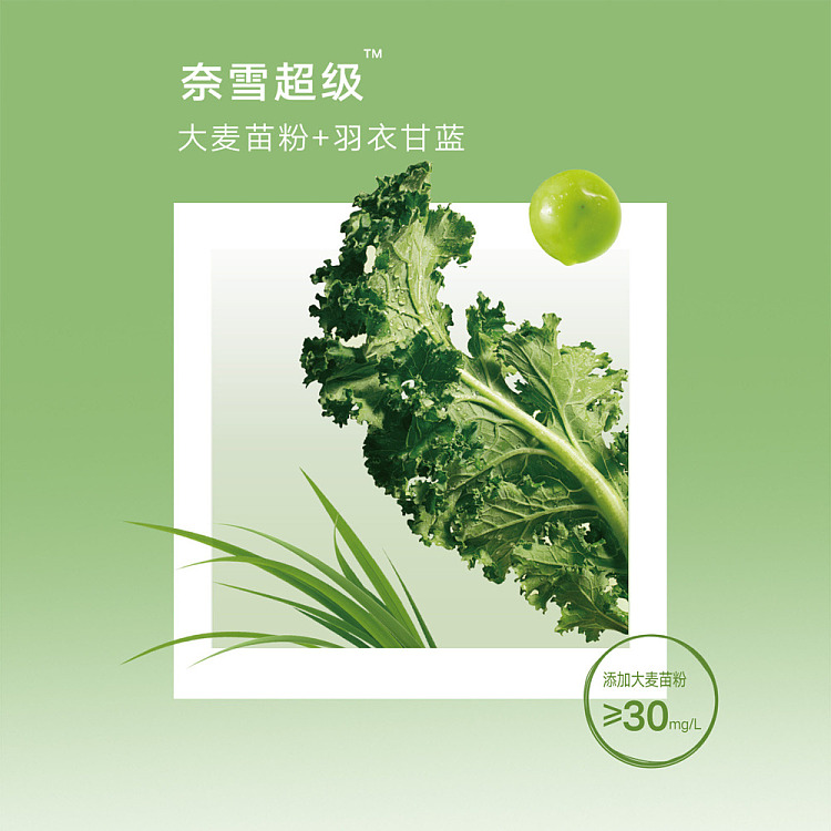 walmart-china-self-supporting-series-whole-case-neshes-tea-kale-barley-green-juice-jasmine-tea-1l12-4