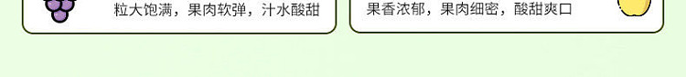 light-on-guava-green-tee-1l-3