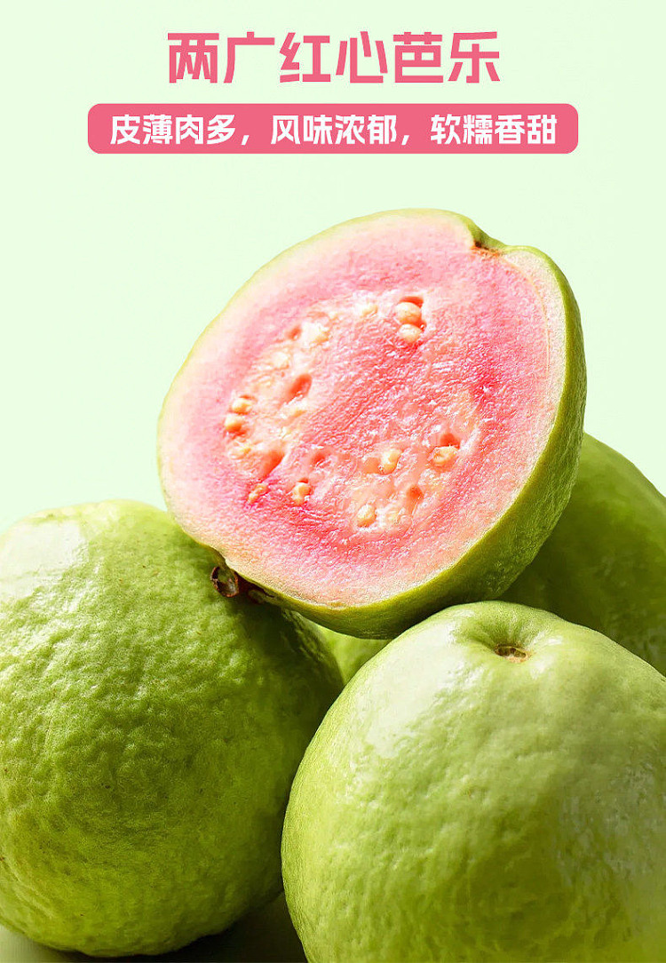 light-on-guava-green-tee-1l-4