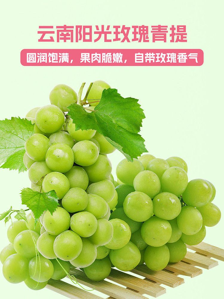 light-on-guava-green-tee-1l-5