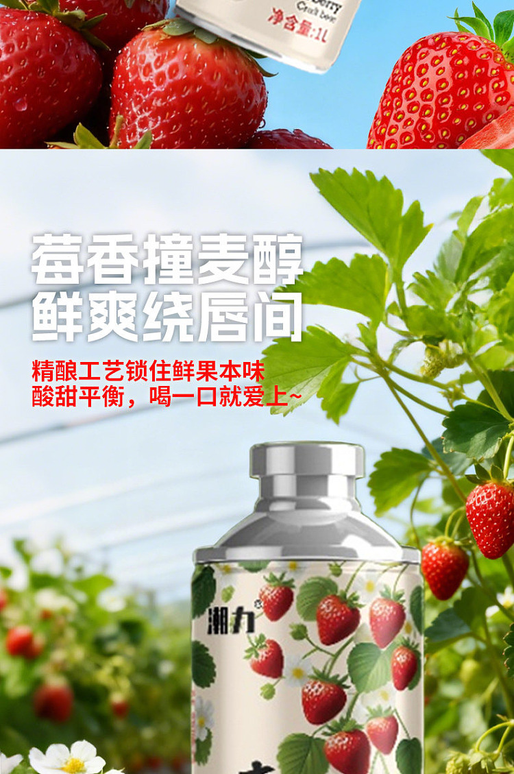 chao-li-edition-chinese-craft-beer-hei-shang-berry-slightly-1l-6