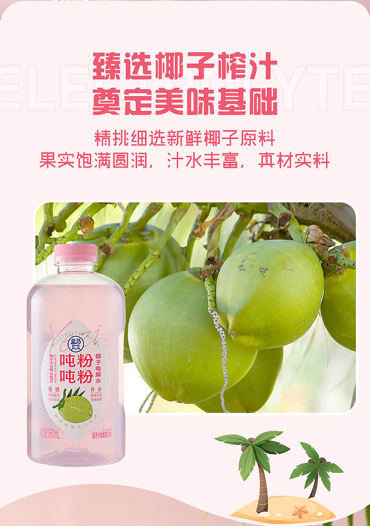box-tons-tons-powdered-coconut-electrolyzed-water-960ml-4