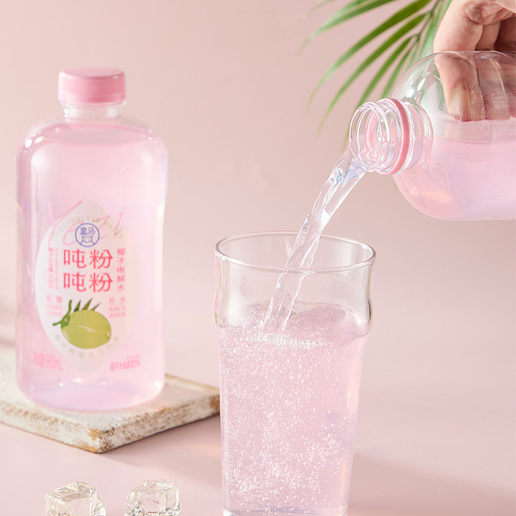 box-tons-tons-powdered-coconut-electrolyzed-water-960ml-2