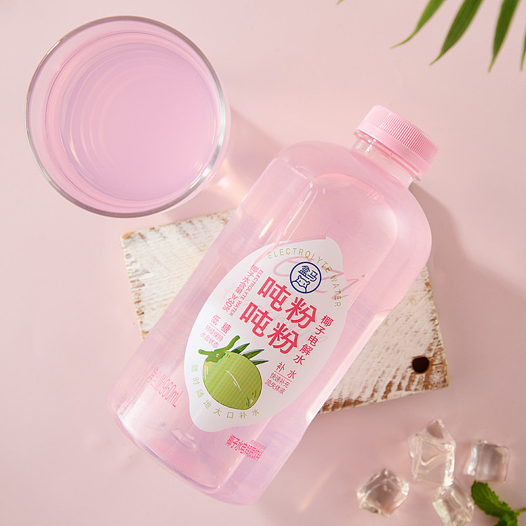 box-tons-tons-powdered-coconut-electrolyzed-water-960ml-3