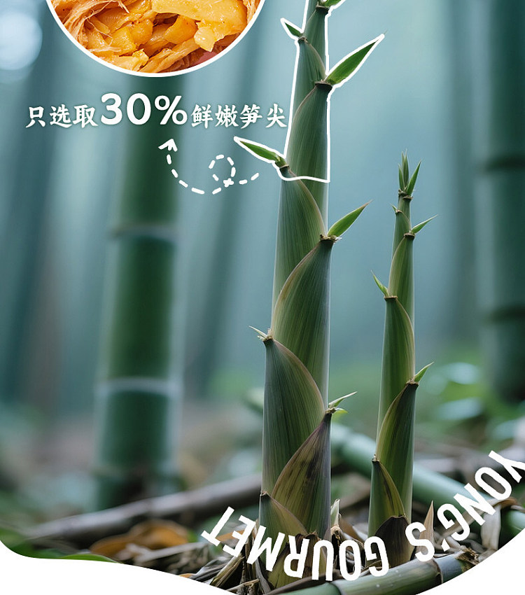 san-guan-liu-jiu-dried-beans-with-bamboo-shoots-and-marinated-flavor-250g-7
