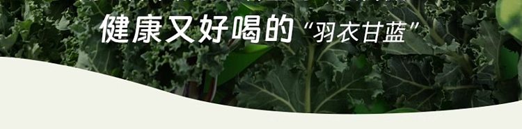 jiuyang-self-regulating-hitchhikers-soymilk-powder-kale-chia-seed-20g7-strips-in-17
