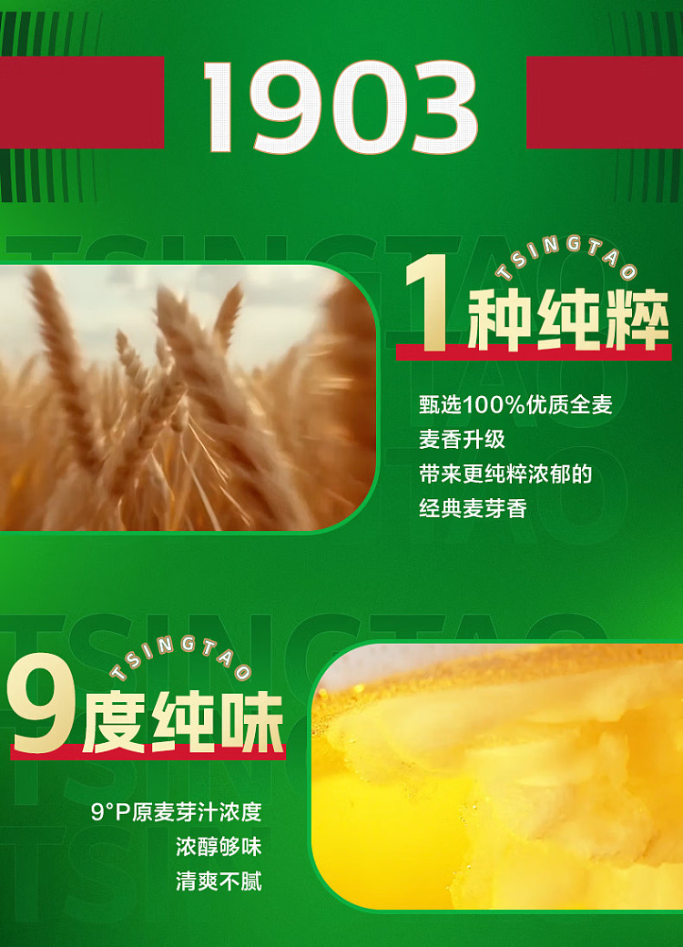 tsingtao-beer-1903-series-alcohol-5-500ml-3