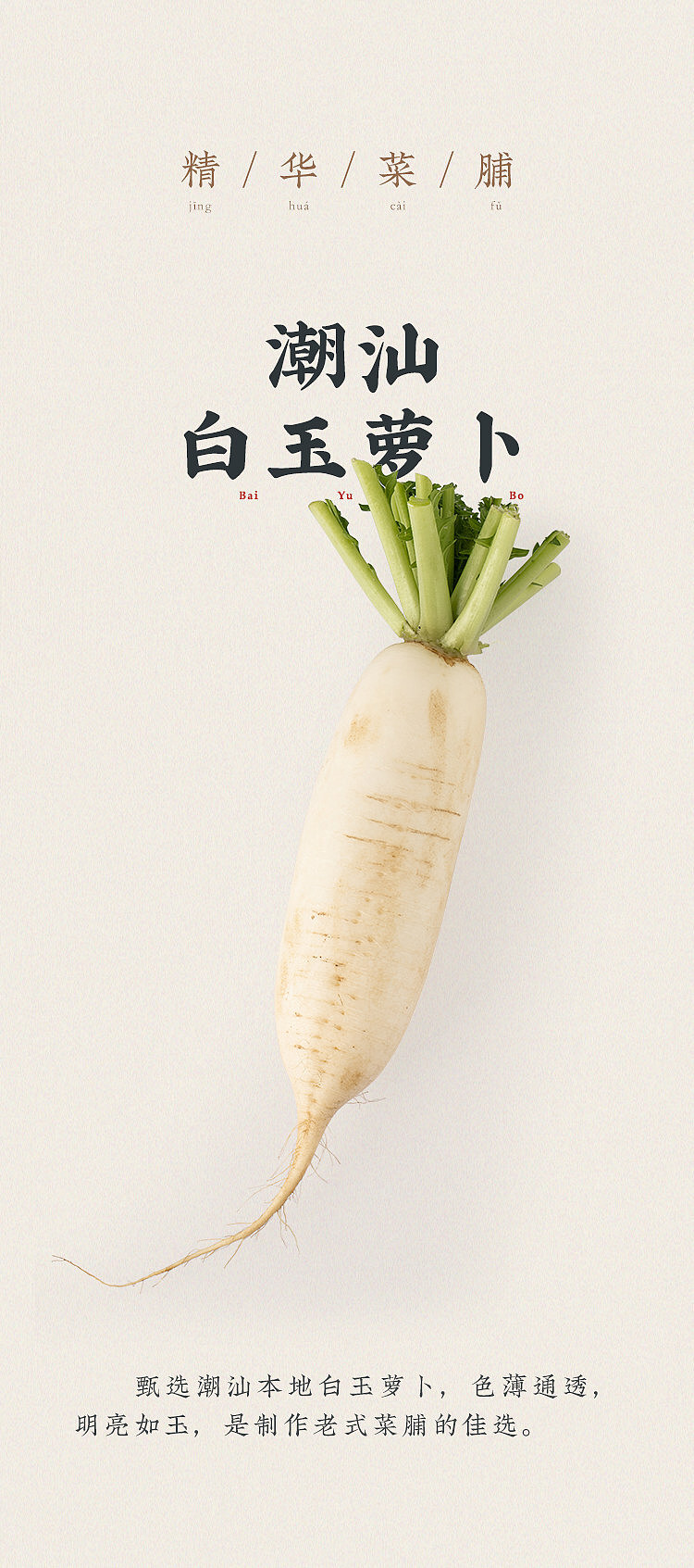 chaoshan-assortment-shrimp-and-preserved-radish-160g-4