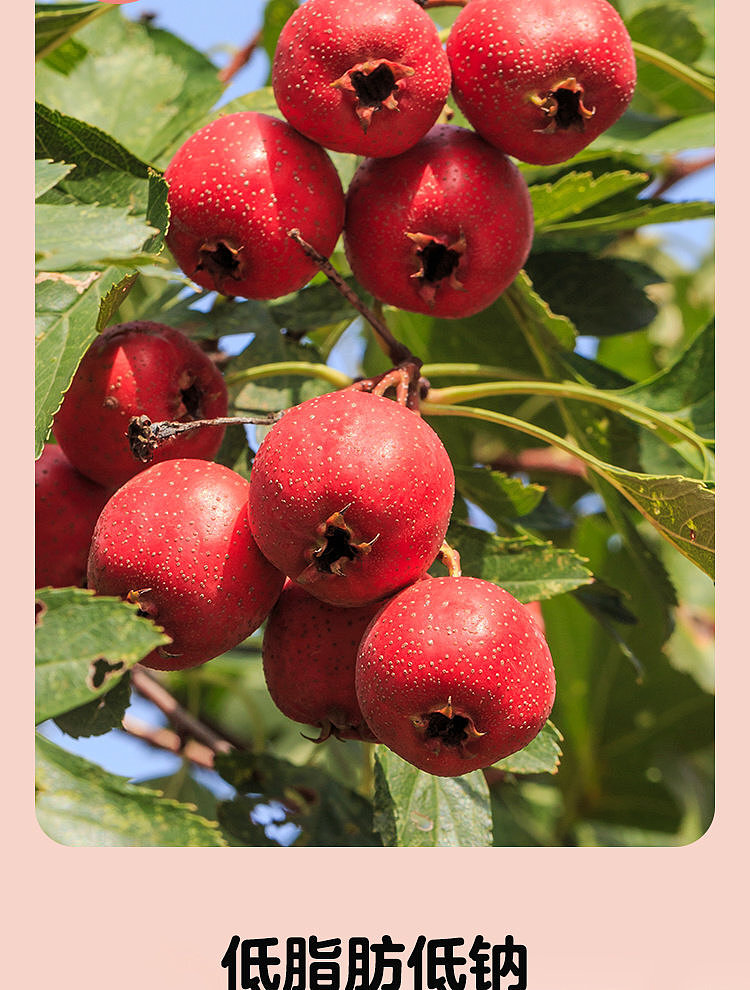 woji-xian-hawthorn-slices-180g-3