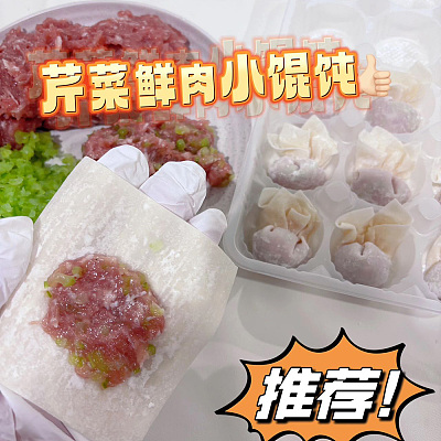 【冻】多乐厨房 芹菜鲜肉馄饨 15pcs 约220g