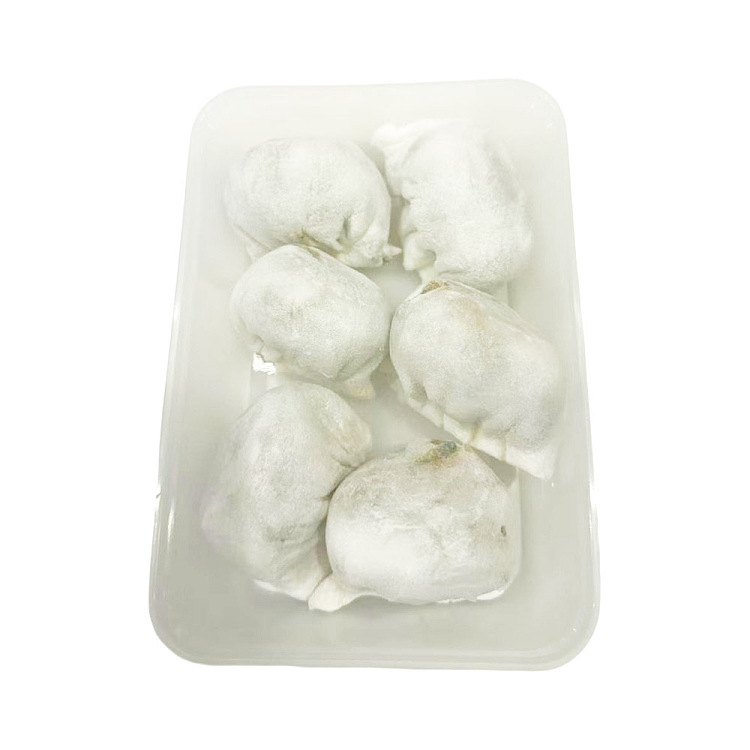 frozen-wenhua-restaurant-chaozhou-rice-dumplings-6-pieces-2