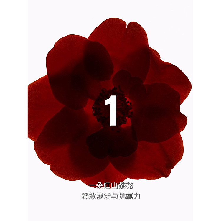 chanel-n1-red-camellia-revitalizing-essence-30ml-2