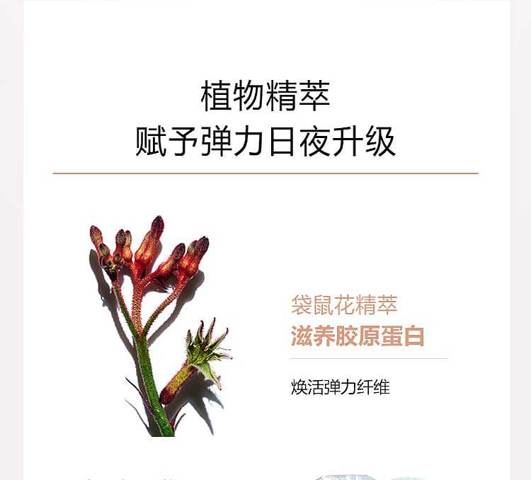 clarins-spring-cream-day-cream-for-all-skin-types-50ml-4