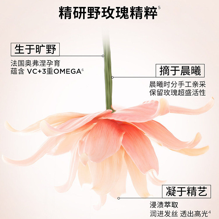 kashi-glazed-rose-bottle-oil-cleansing-smoothing-shampoo-for-dry-frizzy-hair-500ml-2