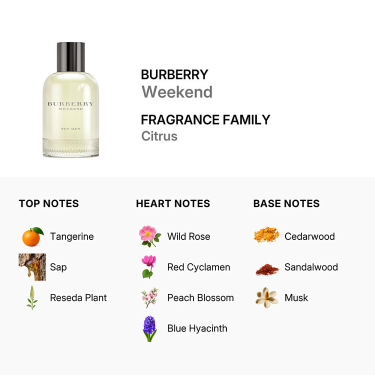 burberry-weekend-for-men-eau-de-toilette-100ml-2