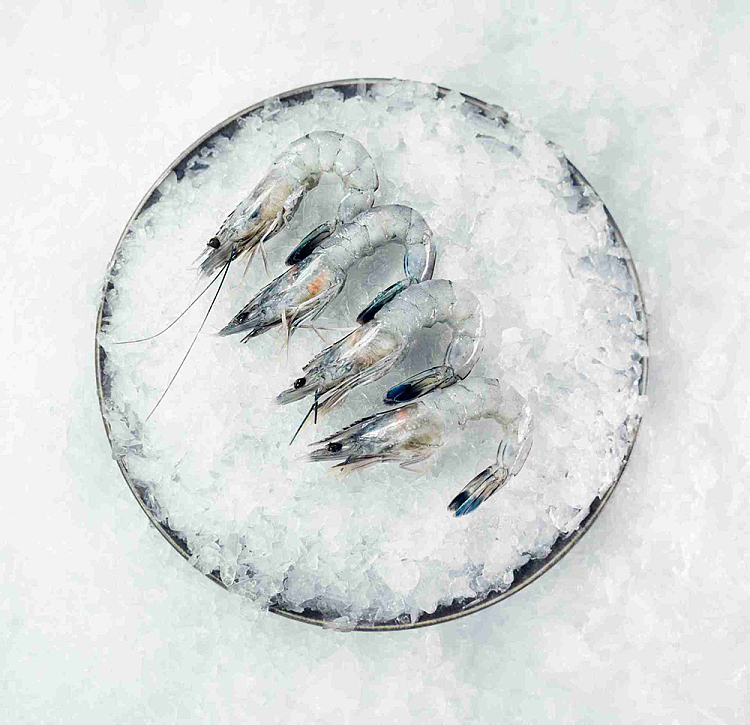 frozen-paradise-shrimp-size3140-sashimi-grade-gift-box-1kg-3