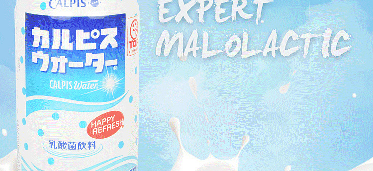 colbis-lactobacillus-drink-335ml-16