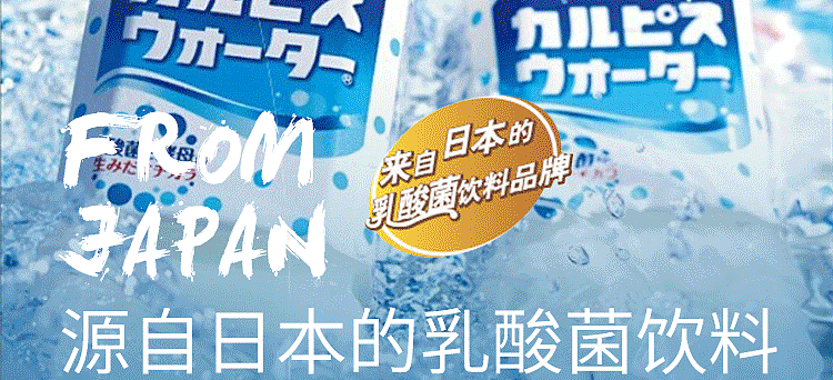colbis-lactobacillus-drink-335ml-8