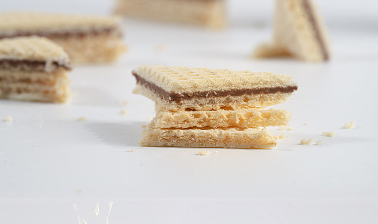 fuji-yoshiharu-chocolate-wafer-cookies-coconut-flavor-168g-6