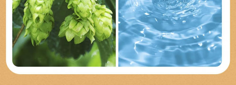 asahi-asahi-super-dry-draft-beer-45-alcohol-350ml-4