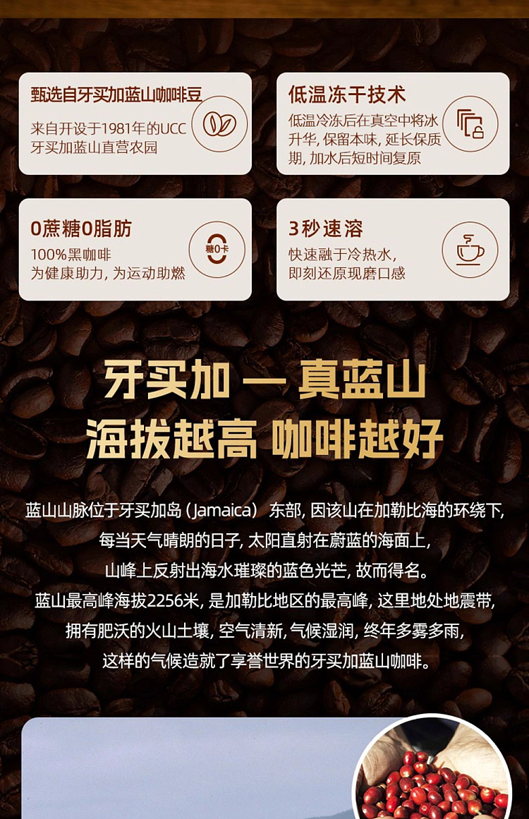 ucc-coffee-explorer-blue-mountain-select-coffee-powder-blue-bottle-45g-2