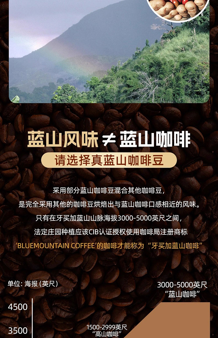 ucc-coffee-explorer-blue-mountain-select-coffee-powder-blue-bottle-45g-3