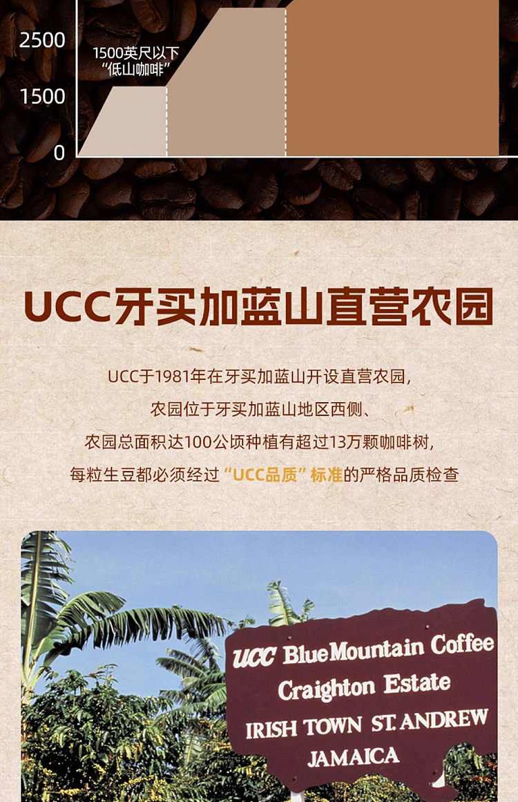 ucc-coffee-explorer-blue-mountain-select-coffee-powder-blue-bottle-45g-4