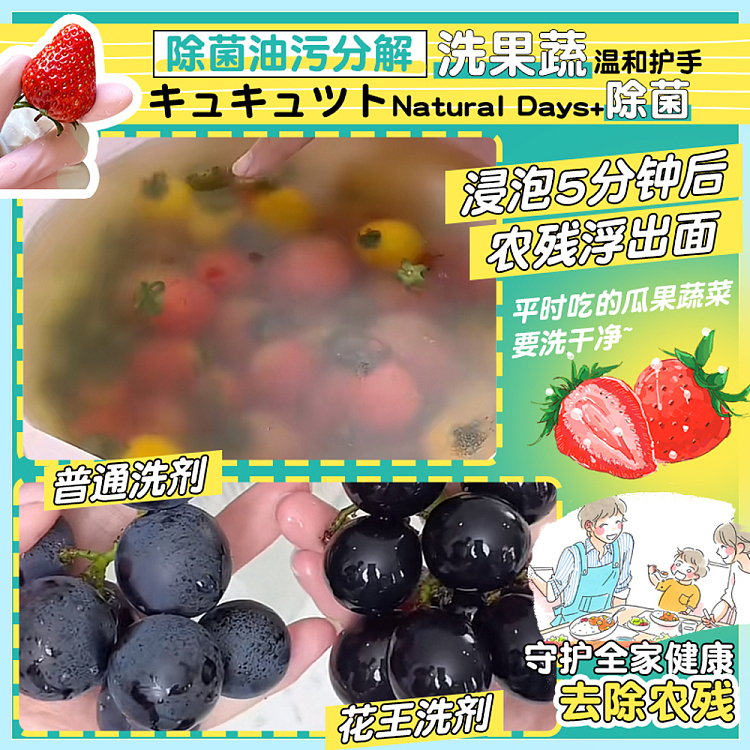 kao-fruit-vegetable-dishwashing-liquid-wildflower-herbal-scent-220ml-5