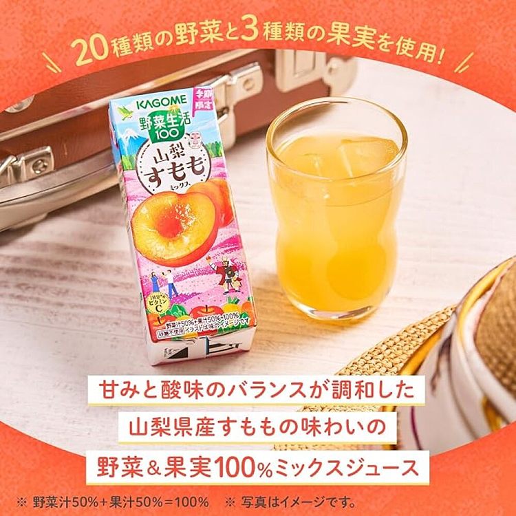 kagome-mountain-plow-plum-fruit-vegetable-juice-195ml-2