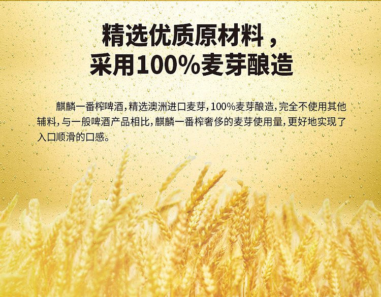 kirin-ichiban-beer-alcohol-content-550ml-2