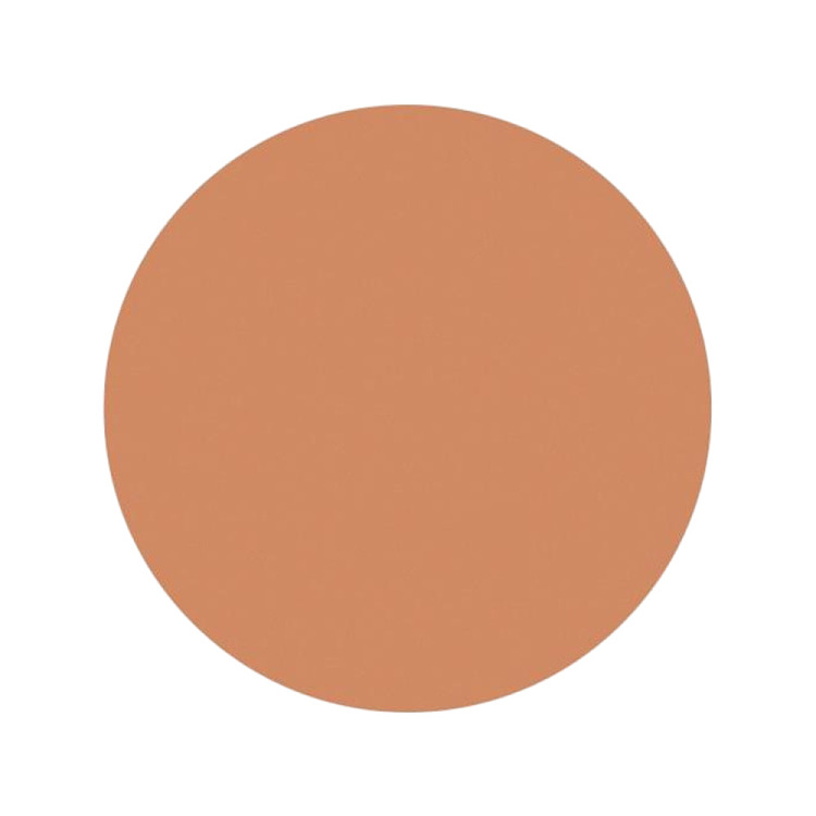 shiseido-spotscover-concealer-s102-wheat-20g-5