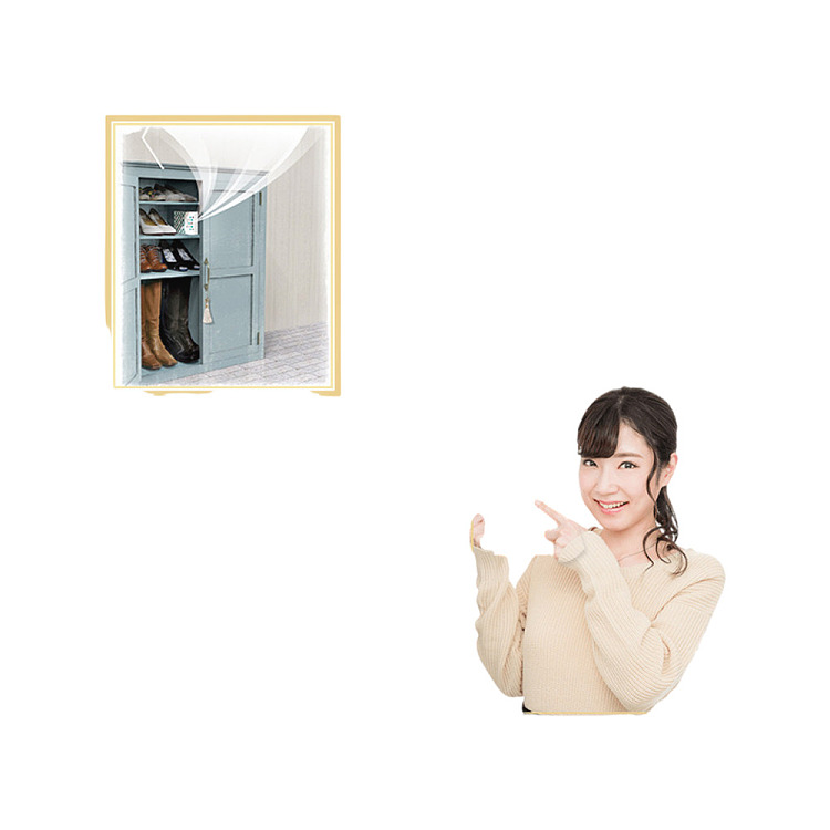 white-dollar-shoe-cabinet-deodorizer-soap-scent-1pc-in-2