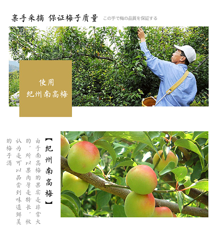 hakutsuru-nanko-plum-wine-199-720ml-3