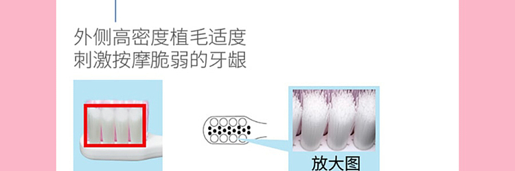 lion-soft-care-toothbrush-for-pregnant-women-and-maternity-10
