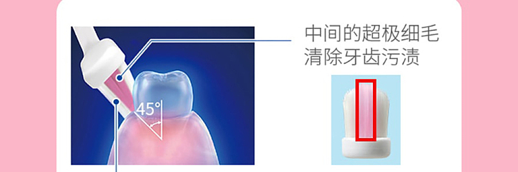 lion-soft-care-toothbrush-for-pregnant-women-and-maternity-9