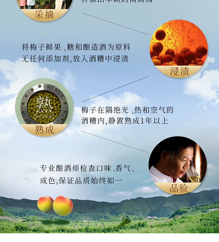 choya-black-plum-wine-14-alcohol-720ml-12