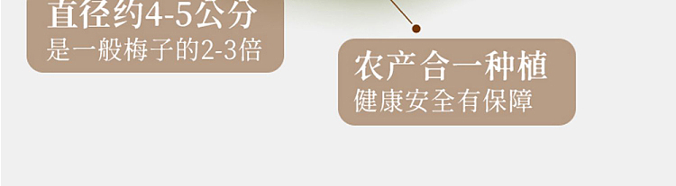 choya-black-plum-wine-14-alcohol-720ml-7