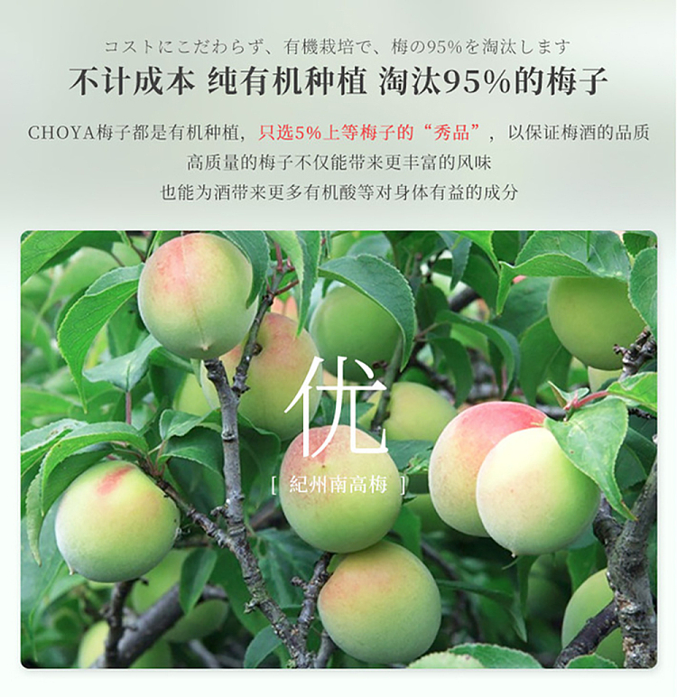 choya-honge-plum-wine-one-year-matured-kishu-nangao-plum-wine-alcohol-content-15-720ml-6
