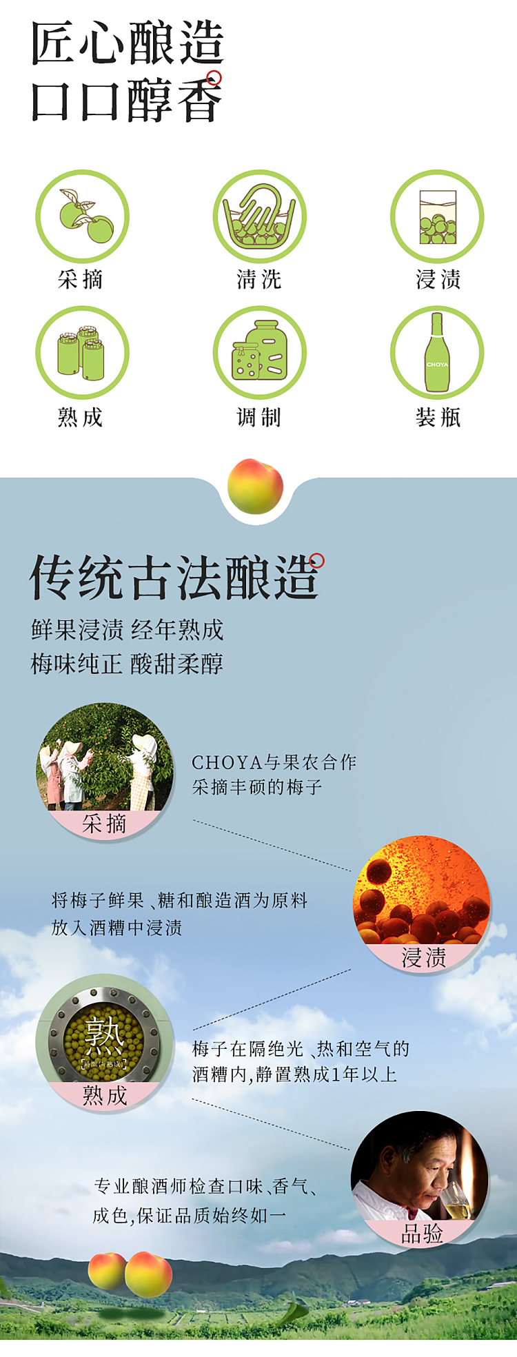 choya-plum-wine-10-18l-5