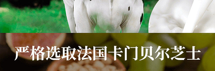 tokyo-milk-cheese-factory-sandwich-cookies-chocolate-mascarpone-10pcs-230g-8