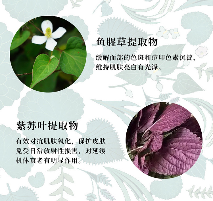 cogit-centella-asiatica-moisturizing-beauty-mist-100ml-6